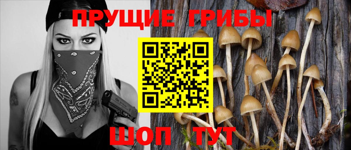 Псилоцибиновые грибы MAGIC MUSHROOMS  Вход с VPN  Воркута 